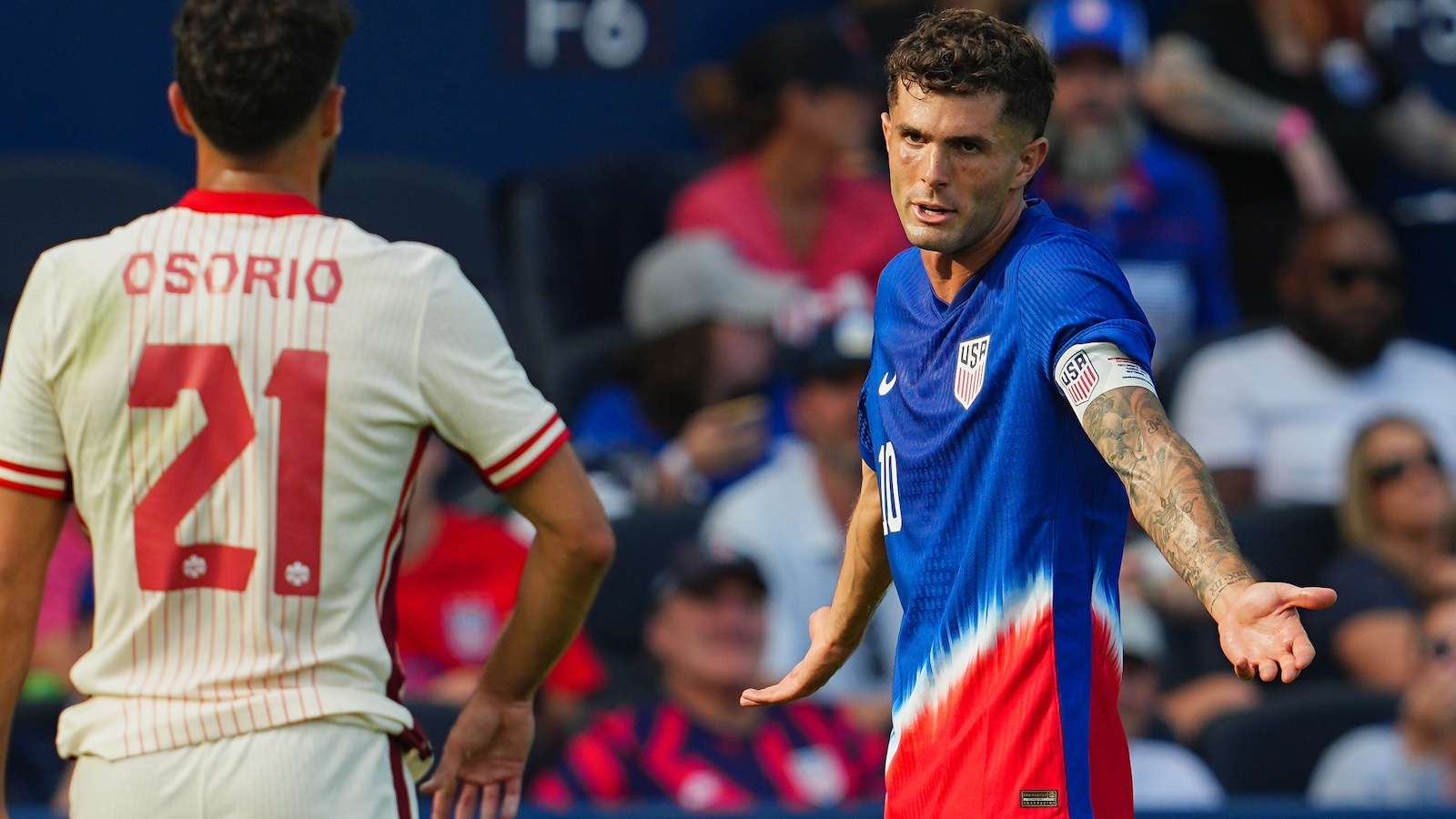 也需要注重 也需要注重