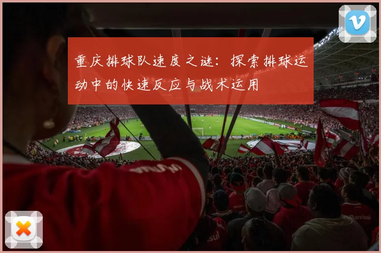 重庆排球队速度之谜：探索排球运动中的快速反应与战术运用