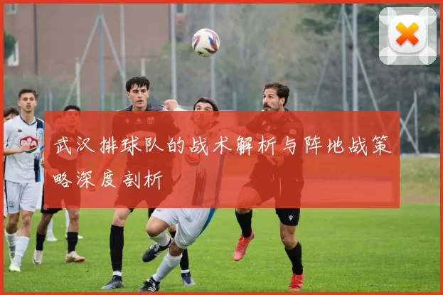 武汉排球队的战术解析与阵地战策略深度剖析