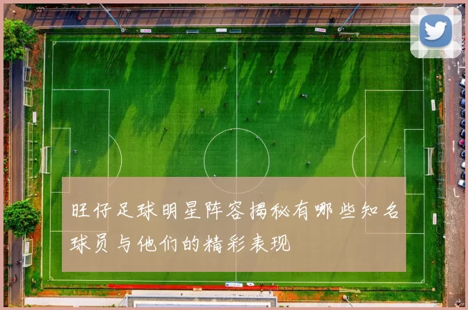 旺仔足球明星阵容揭秘有哪些知名球员与他们的精彩表现