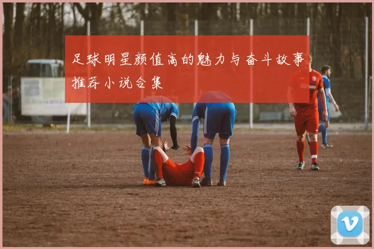 足球明星颜值高的魅力与奋斗故事推荐小说合集