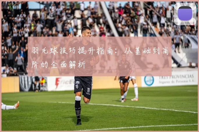 羽毛球技巧提升指南：从基础到高阶的全面解析