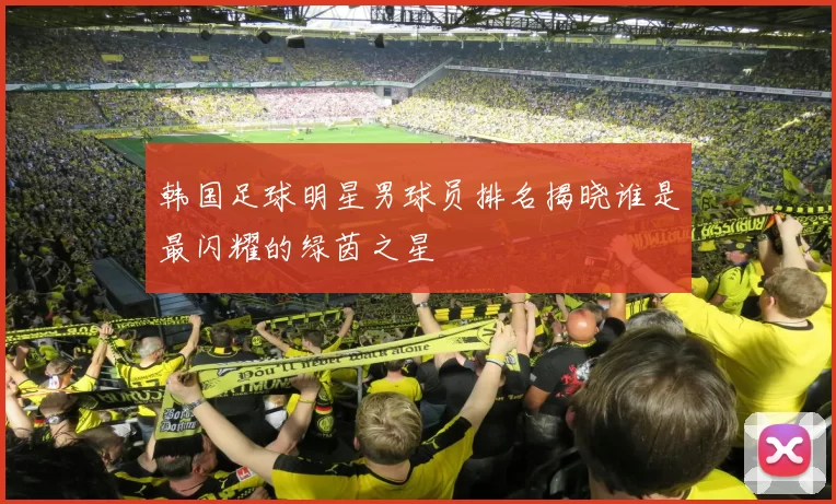 韩国足球明星男球员排名揭晓谁是最闪耀的绿茵之星