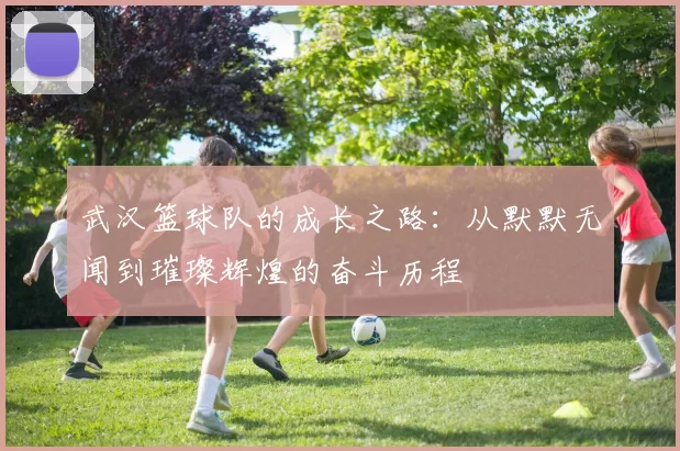 武汉篮球队的成长之路：从默默无闻到璀璨辉煌的奋斗历程