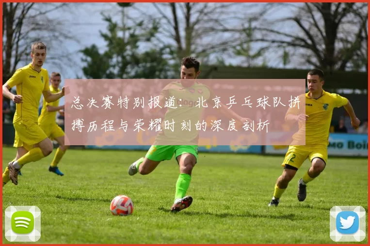 总决赛特别报道：北京乒乓球队拼搏历程与荣耀时刻的深度剖析
