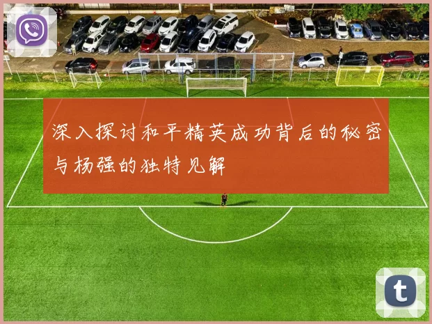深入探讨和平精英成功背后的秘密与杨强的独特见解