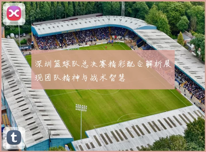 深圳篮球队总决赛精彩配合解析展现团队精神与战术智慧