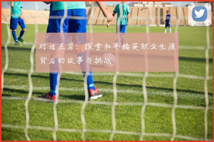 对话王芳：探索和平精英职业生涯背后的故事与挑战