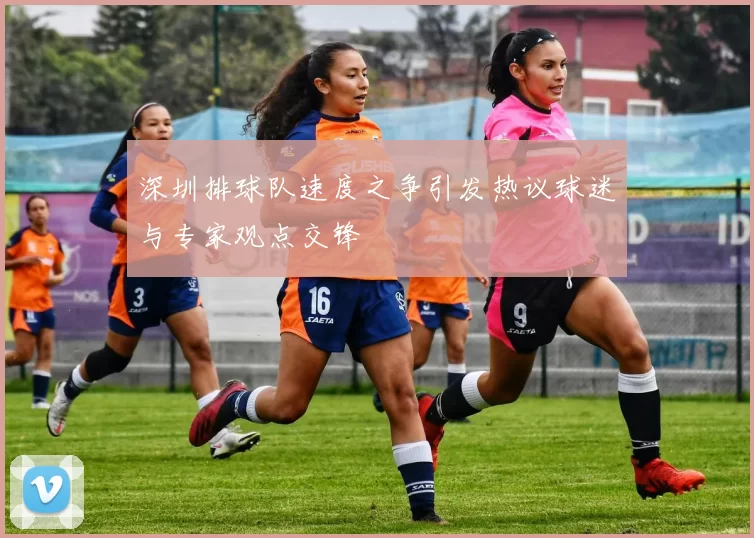 深圳排球队速度之争引发热议球迷与专家观点交锋