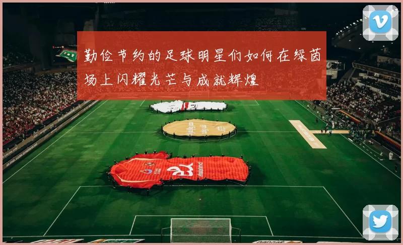 勤俭节约的足球明星们如何在绿茵场上闪耀光芒与成就辉煌