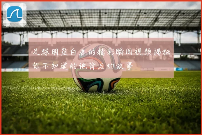 足球明星白鹿的精彩瞬间视频揭秘你不知道的他背后的故事