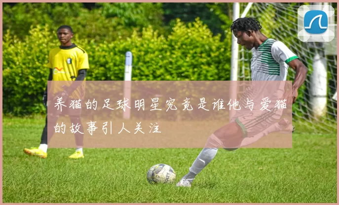 养猫的足球明星究竟是谁他与爱猫的故事引人关注