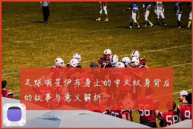 足球明星伊布身上的中文纹身背后的故事与意义解析