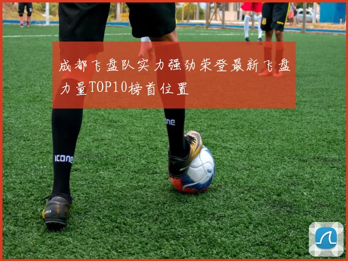 成都飞盘队实力强劲荣登最新飞盘力量TOP10榜首位置