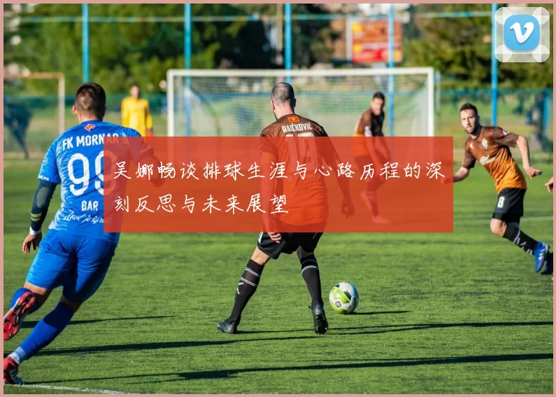 吴娜畅谈排球生涯与心路历程的深刻反思与未来展望