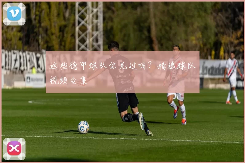 这些德甲球队你见过吗？精选球队视频合集