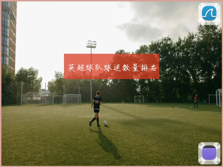 英超球队球迷数量排名