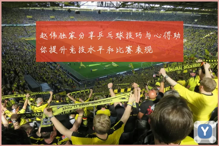 赵伟独家分享乒乓球技巧与心得助你提升竞技水平和比赛表现