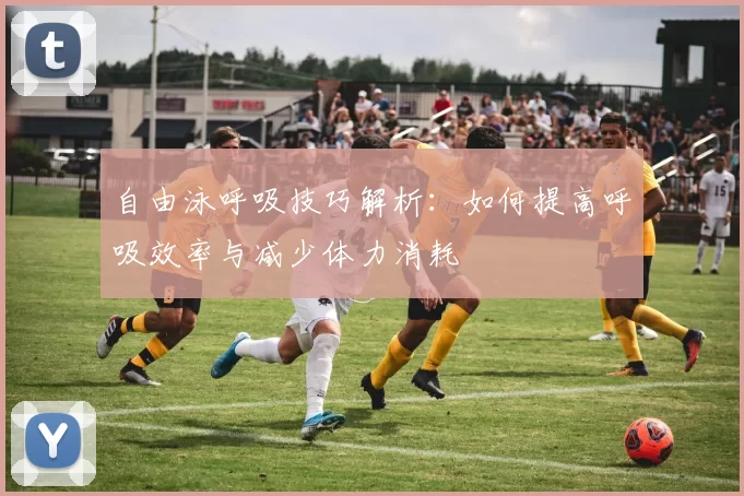 自由泳呼吸技巧解析：如何提高呼吸效率与减少体力消耗