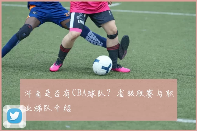 河南是否有CBA球队？省级联赛与职业梯队介绍