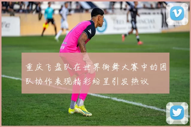 重庆飞盘队在世界街舞大赛中的团队协作表现精彩纷呈引发热议