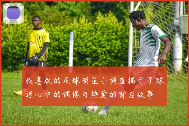 我喜欢的足球明星小调查揭示了球迷心中的偶像与热爱的背后故事