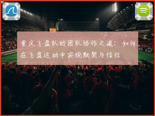 重庆飞盘队的团队协作之道：如何在飞盘运动中实现默契与信任