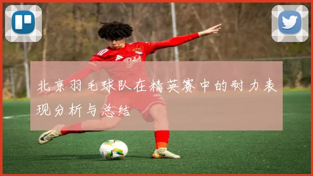 北京羽毛球队在精英赛中的耐力表现分析与总结