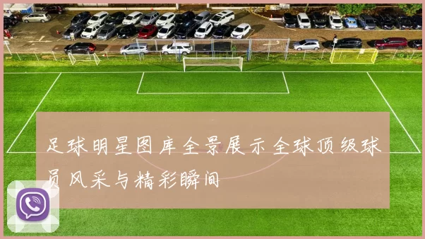 足球明星图库全景展示全球顶级球员风采与精彩瞬间