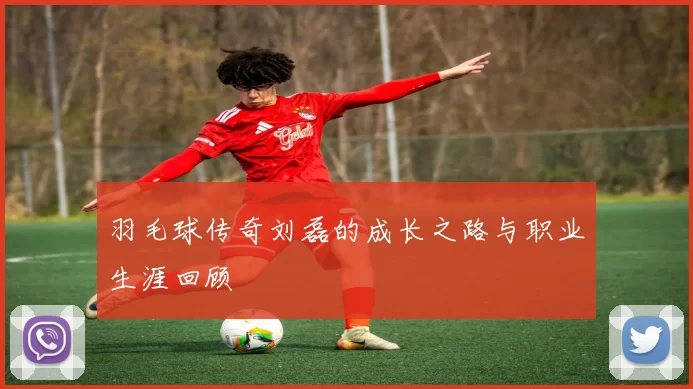 羽毛球传奇刘磊的成长之路与职业生涯回顾