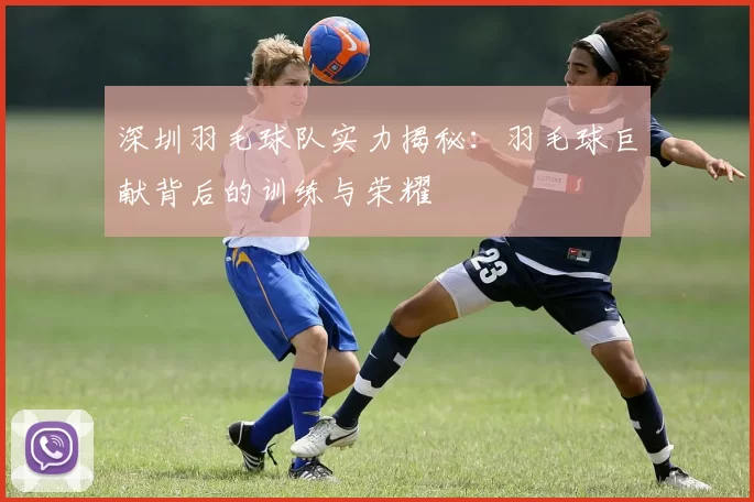 深圳羽毛球队实力揭秘：羽毛球巨献背后的训练与荣耀