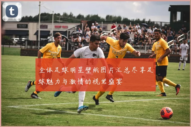 全体足球明星壁纸图片汇总尽享足球魅力与激情的视觉盛宴