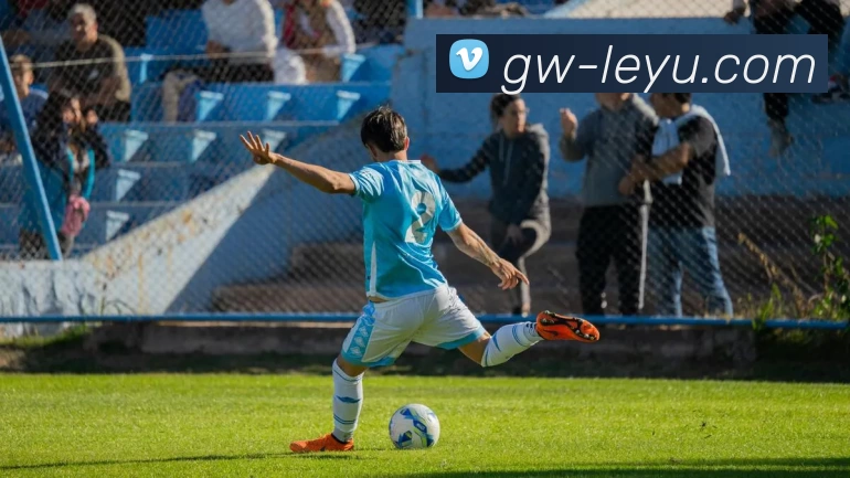 乐鱼体育发展历程